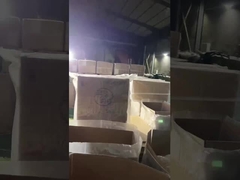 La natation adapte Mlle sans dos élastique sexy Green de résistance à l'abrasion de force de bikini à haute