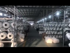 Bikini de costumes de natation